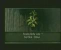 Resident evil 4-11