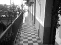 videos de restaurant galeria  vero gomez