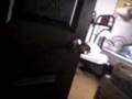 videos de el vuelo de paola