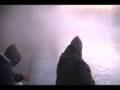 manistee river coho salmon