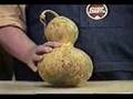 Gourd Bird House