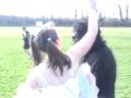 Tim the Gorilla - 2009