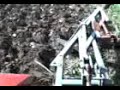 mtz82 bagno
