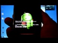 How to flash Onecosmic's ICS port 4.0.3 RC2.1