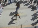 videos Surf