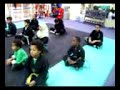 QI FORCE VISIT FROM PROFESSOR GRIFF