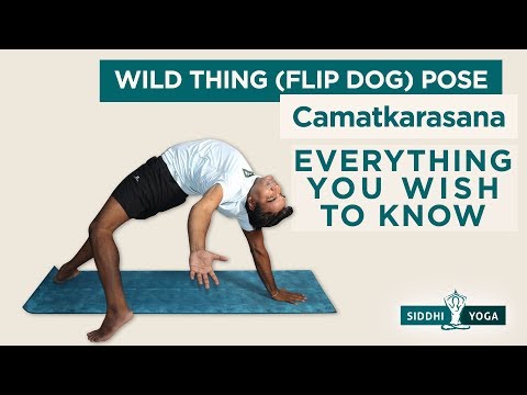 Camatkarasana (Flip Dog or Wild Thing Pose)