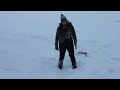 Nane im Schnee