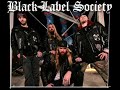 Black Label Society - Speedball (Zakk Wylde plays acoustic-guitar at extreme speed)