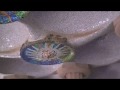 Park Guell - Barcelona - Antonio Gaudi