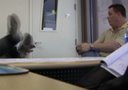 Drunk Interviews