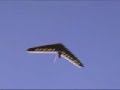 Hang Gliding - Horse Thief Canyon (Cliff Launches & Crashes)
