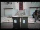 malhos-e-tralhos-1.html