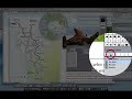 EN18 Quark 8 - Add Animation