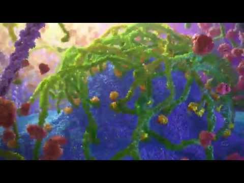 Inner Life of a Cell | Protein Packing