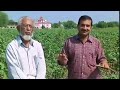 The World According To Monsanto 8 10.mp4