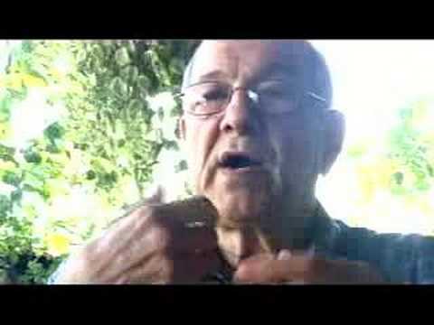 Image de prévisualisation YouTube