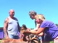 its the compost! creating abundance at k jo farm