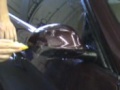 PRO-TECT Film BMW 328i Hood/Fenders/Mirrors