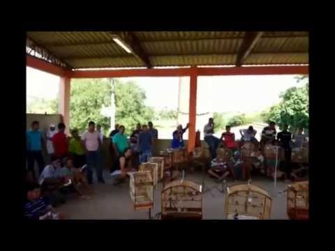 1º Torneio de Papa Capim em Palmares-PE
