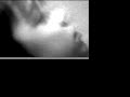 The Presence of Absence - Art project Yr1