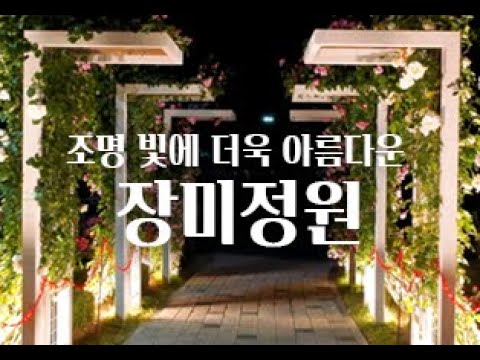 조명 빛에 더욱 아름다운 장미정원