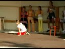 BABINEC 2008