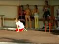 BABINEC 2008