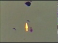 Toxoplasma-gondii