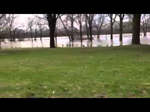 Riverside Park: Post Flood -VIDEO