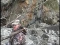 Alaska Black bear hunt