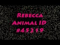 North County Humane Society & SPCA- Rebecca