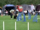 FUFA (DKK) Danmarks-mesterskab i agility 2008