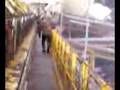 videos de uncle thurm carrying a can up the stacker belt at 84 mine