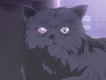 The weird Flashback regarding Pierrot's past
