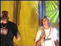 função dns {quem é garrido ao vivo} pantinhagem