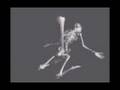 Skeleton Sex - Boner (Funny)