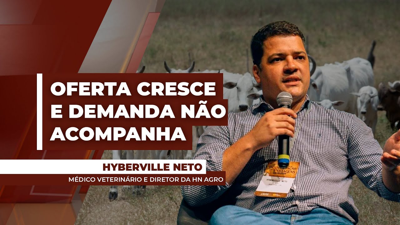 Boi: Fevereiro tem mais oferta de animais, escalas alongadas mas demanda por carne não acompanhou