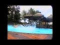 2010-05-12 | World Industries Love Child 1992 Part 2 HD Daewon Chico Turner blind 101 ~> 1992 skate video featuring: Randy Colvin, Chico Brenes, Shiloh Greathouse, Spencer Fujimoto, Jed Walters, Daniell Castillo, Daewon Song, and ... ()
