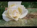 Parole da dedicarmi--Nesli