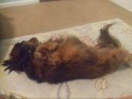 Maggie and All Her Glory! Maggie and All Her Glory!
