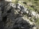 Salt Barranc de l\
