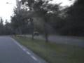 Z400 ON THE ROAD