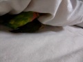 ラブラブなんですが・・・
