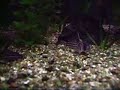 Aquario 120 lts pt2