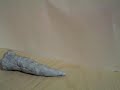 Billy and the giant slug