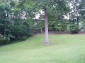 Micro Bristol Scout video