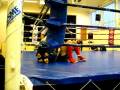 videos de 29.11.2008 MMA Seinäjoki kansalliset kilpailut