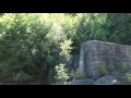 Andrew Forin Cliff Jumping 2006