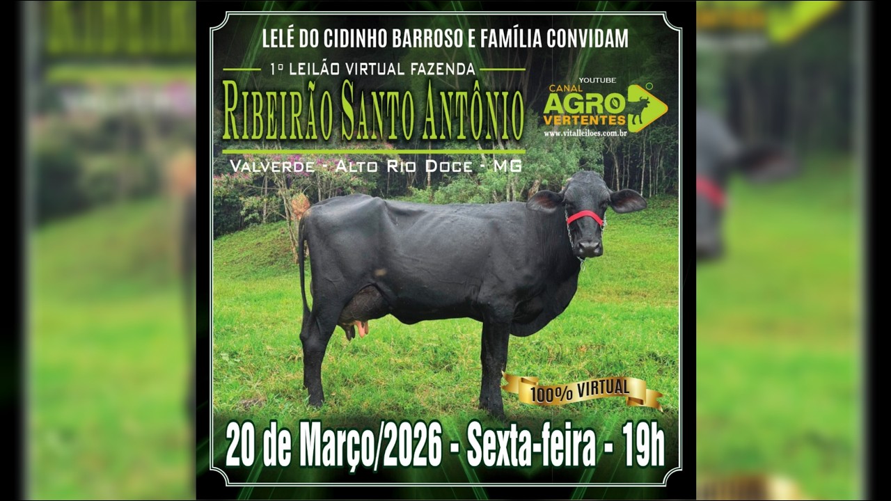 1º LEILÃO VIRTUAL FAZENDA RIBEIRÃO SANTO ANTÔNIO - VALVERDE / ALTO RIO DOCE/MG - 20/03/2026